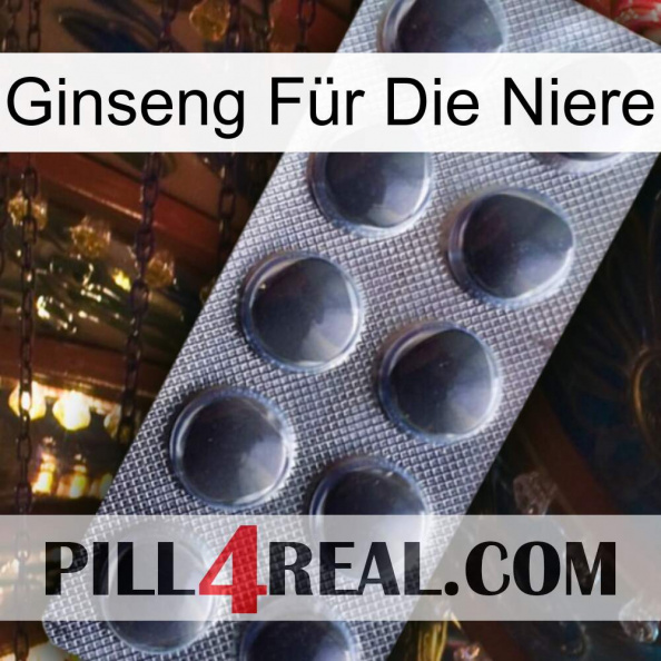 Ginseng Für Die Niere 30